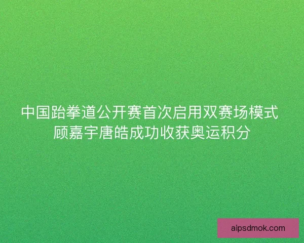 中国跆拳道公开赛首次启用双赛场模式 顾嘉宇唐皓成功收获奥运积分