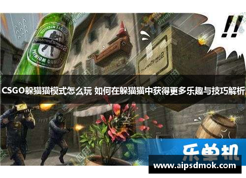 CSGO躲猫猫模式怎么玩 如何在躲猫猫中获得更多乐趣与技巧解析