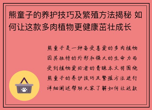 熊童子的养护技巧及繁殖方法揭秘 如何让这款多肉植物更健康茁壮成长